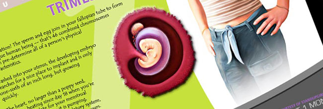 design-standupgirl-posters-650